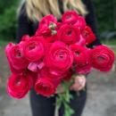 Ранункулюсы Элеганс осень 2026