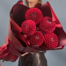 Георгина на срезку осень 