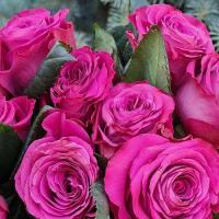 Роза Прешес Моментс