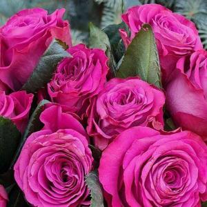 Роза Прешес Моментс