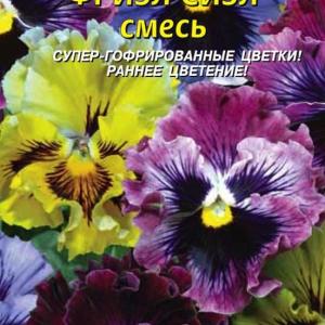 Виола F1 Фризл Сизл микс