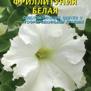 Петуния Фриллитуния белая