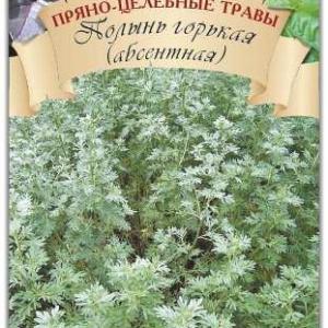 Полынь горькая (абсентная)