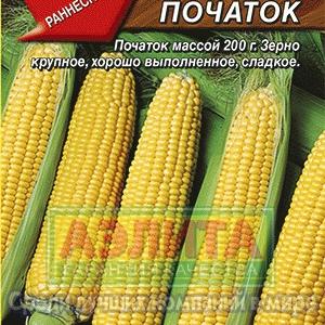 Кукуруза Золотой початок сахарная