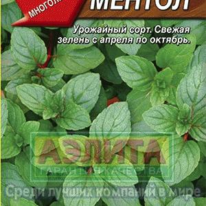 Мята овощная Ментол