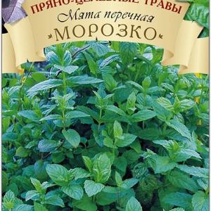 Мята перечная Морозко