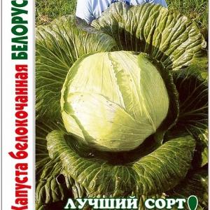 Капуста белокочанная Белорусская 455