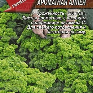 Петрушка кудрявая Ароматная Алея