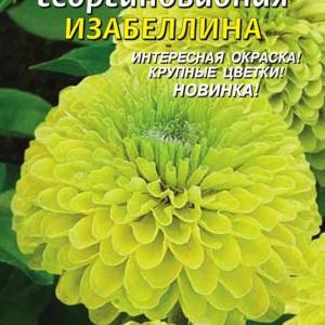 Цинния георгиновидная Изабелина