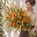 Calendula Ред Виз Блек Центр семян 50+