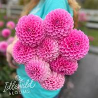 Георгина Свитт Вабьен