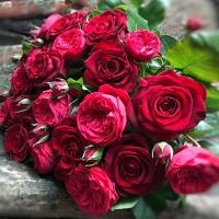 Роза спрей Руби Бижу