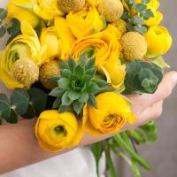 Ранункулюс Elegance Yellow 5 шт