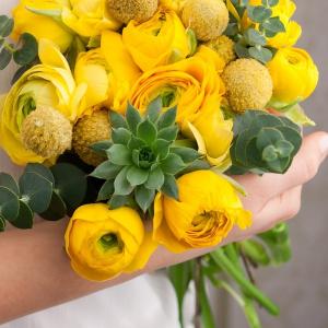 Ранункулюс Elegance Yellow 5 шт